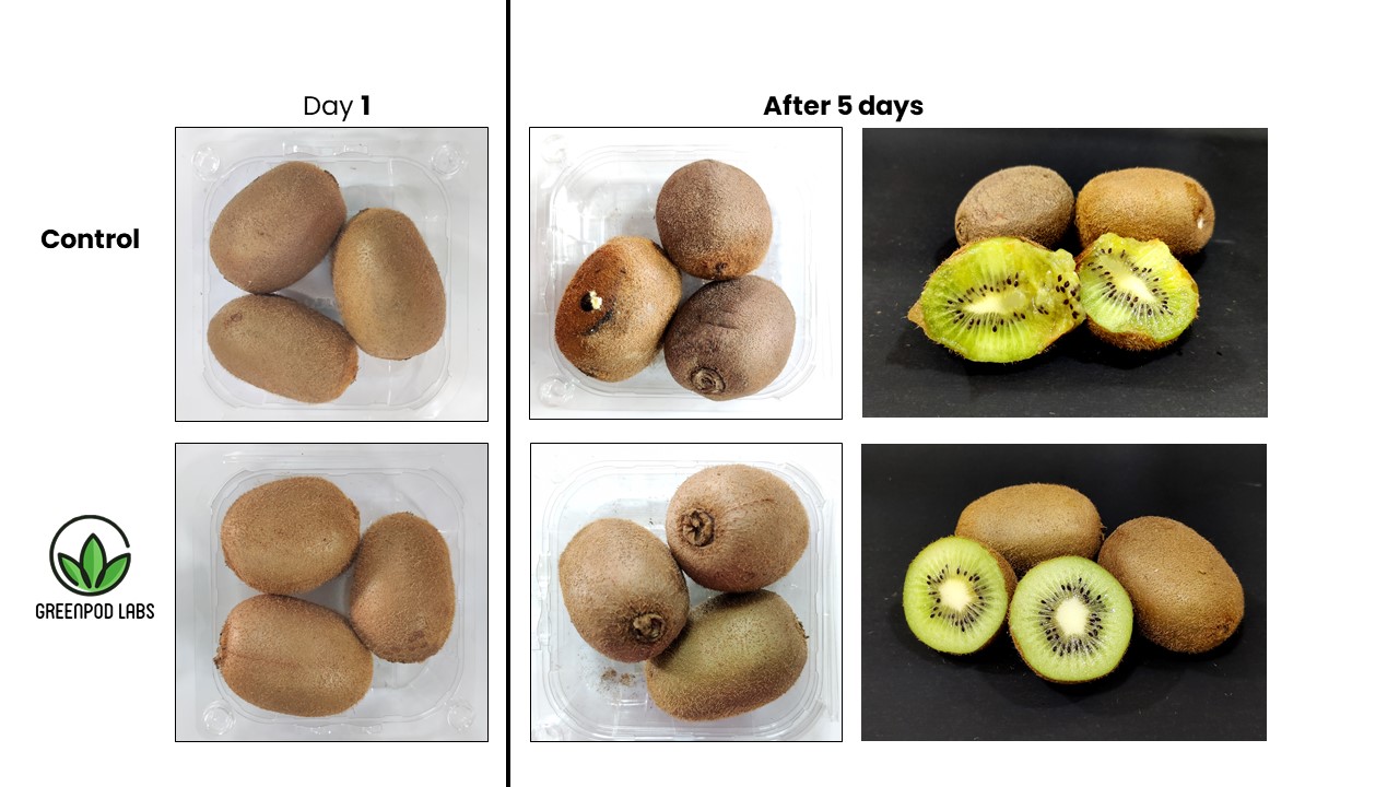 Greenpod Lab's biotech-based active packaging - kiwi